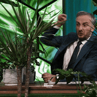 Jan Böhmermann Wtf GIF by ZDF Magazin Royale