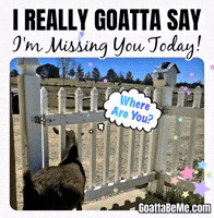 Missing U I Miss You GIF by Goatta Be Me Goats! Adventures of Java, Toffee, Pumpkin and Cookie!
