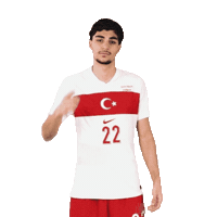 Ay Yildiz Sticker by Kaan Ayhan