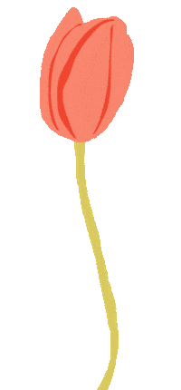 colors flower Sticker by lilianstolk