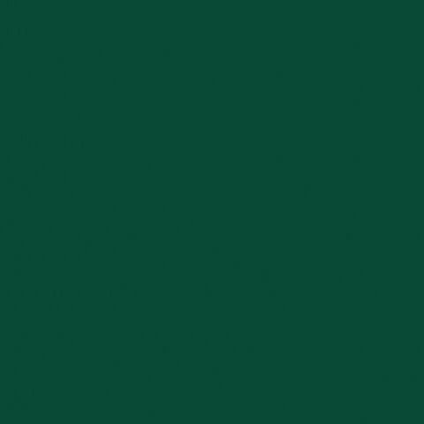 Register To Vote Philadelphia Eagles GIF by INTO ACTION