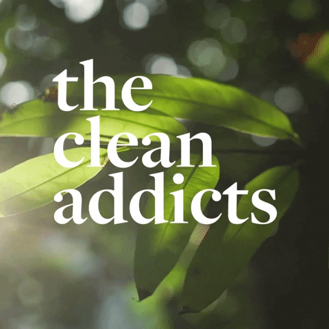 thecleanaddicts  GIF