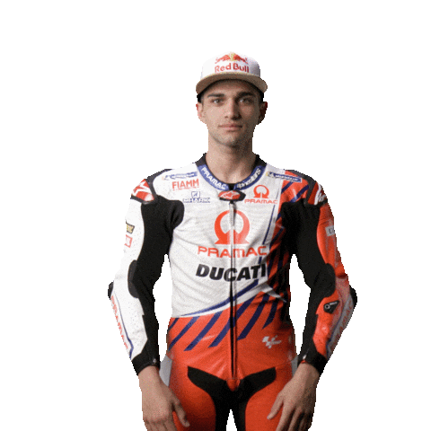 Sport Martin Sticker by MotoGP