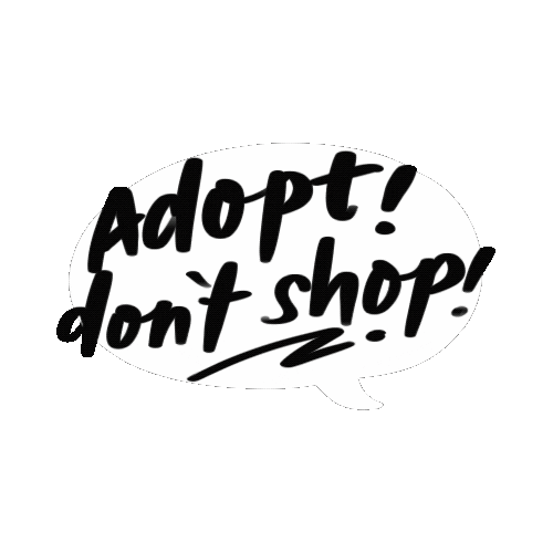 panderpdraws adopt mud adoption adopt dont shop Sticker