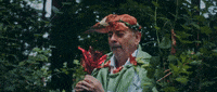 dsvltavan lets go magic shakespeare ds vltavan GIF