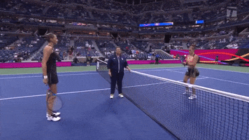 Us Open Sport GIF by Tennis Channel
