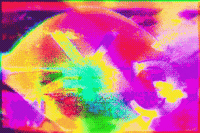 art glitch GIF by Caitlin Burns