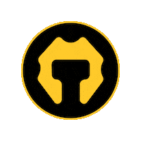 Bitcoin Coin Sticker by ttcoinnetwork