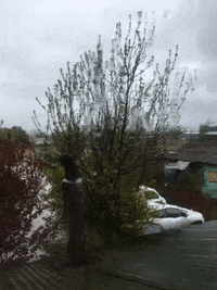 cat love GIF by Jano Soto Cossio