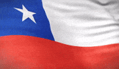 Viva Chile GIF