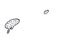 New Post Sticker by meduse.agency