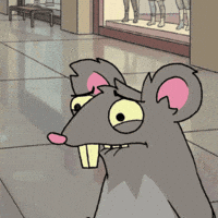 Face Office GIF by Web3 Playboys