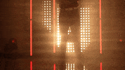 Oklahoma Sooners Softball GIF by NCAA Championships