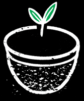 SFBC coffee sf sfbc sf bay GIF