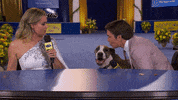 heart of television kiss GIF by Hallmark Channel
