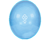 Fitness Workout Sticker by BOSU®
