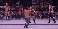 John Silver Wrestling GIF by AEWonTV