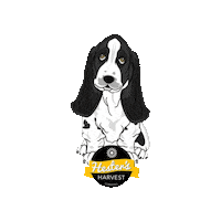Trevozah honey bees harvest devon Sticker