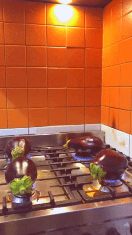 FreetoFeed giphygifmaker GIF