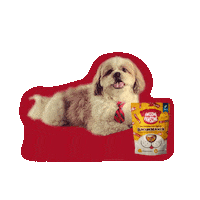 Happy Dog Sticker by Awesome Pawsome Treats
