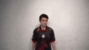 League Of Legends Lol GIF by G2 Esports