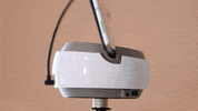 GIF by Swivl