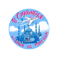 Turkey Flight Sticker by pobeda_aero