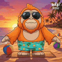 Beach Standing GIF by Buddies for Paws