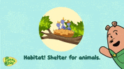 Bird Nest Learning Cartoon GIF