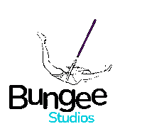 Bungeestudios bungee bungee fitness bungeefitness bungeeworkout Sticker