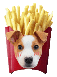 Dog Love Sticker
