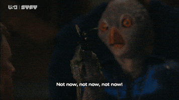 Alan Tudyk GIF by USA Network