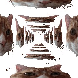 Infinite Loop Mind Blown Sticker