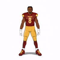 Dust Off Nfl Playoffs GIF by SportsManias