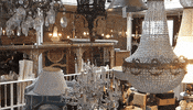 animation anima GIF