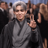 Seventeen GIF