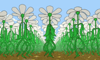 Dancin' Flower