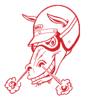 bellhelmets horse motorcycle sweat helmet Sticker