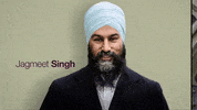 canada jagmeet singh canada election 2019 canada federal elections 2019 GIF