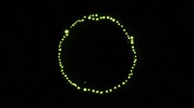 Stop Motion Animation GIF by brittany bartley