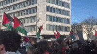 Pro-Palestine Demonstrators Listen to Gaza Ruling Outside International Court of Justice