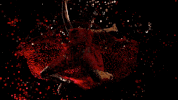 musicvideo trance GIF by Anjunabeats