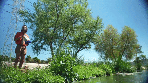 River Reaction GIF by Bay Ledges