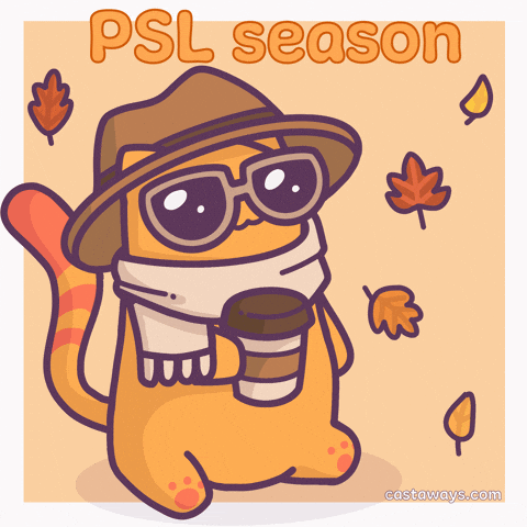 Pumpkin Spice Latte Cat GIF by Castaways