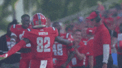 Happy College Football GIF by FAU Athletics