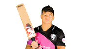 Batting Batter Sticker by Somerset County Cricket Club