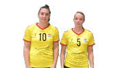 Volleyball Sticker by Draisma Dynamo