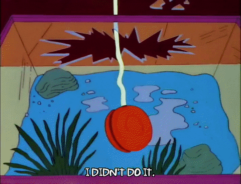Season 3 Aquarium GIF by The Simpsons