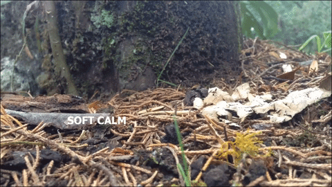 Art Video GIF by jorgemariozuleta