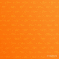 Webcaregifs GIF by Staatsloterij